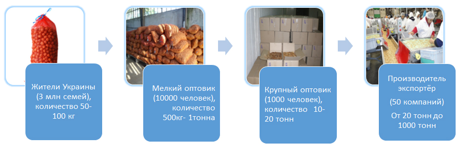 Переработка и экспорт грецких орехов и ядер